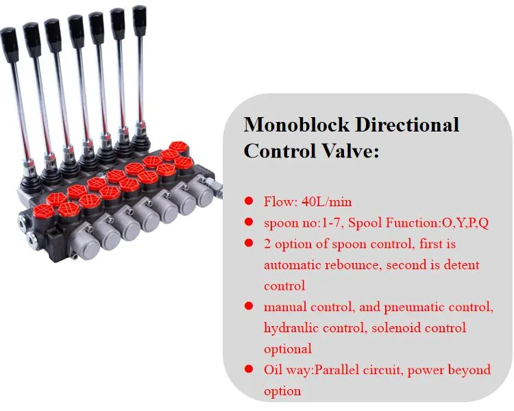 P40 Monoblock Spool Directional Control Valve